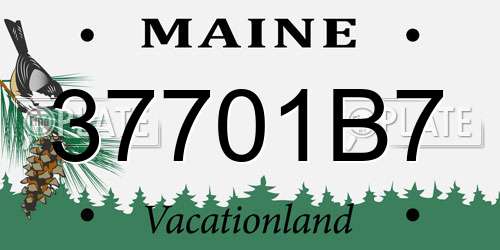 37701B7 Maine License Plate