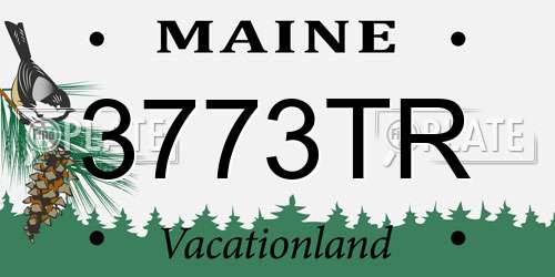 3773TR Maine License Plate