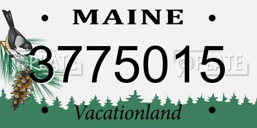 3775015 Maine License Plate