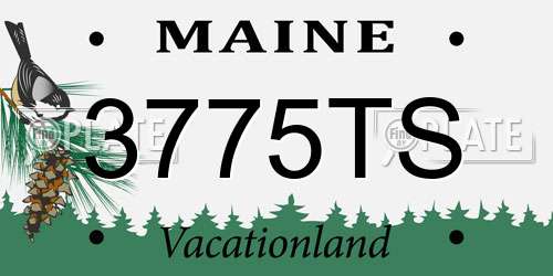 3775TS Maine License Plate
