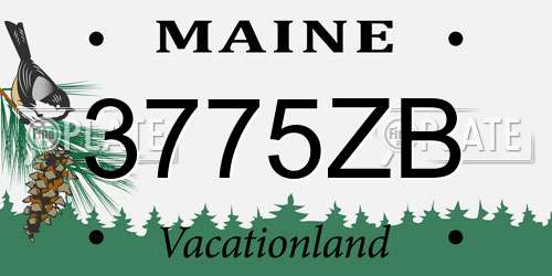 3775ZB Maine License Plate