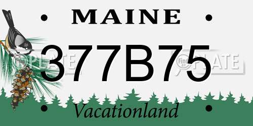 377B75 Maine License Plate