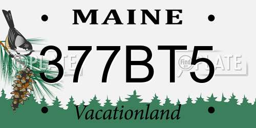 377BT5 Maine License Plate