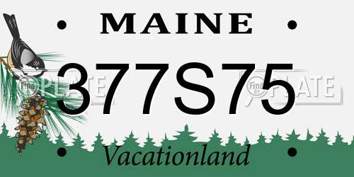 377S75 Maine License Plate