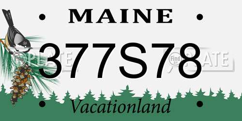 377S78 Maine License Plate