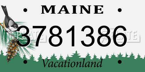 3781386 Maine License Plate