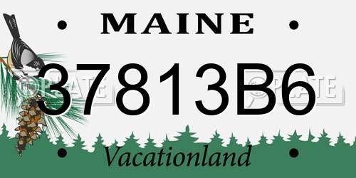 37813B6 Maine License Plate