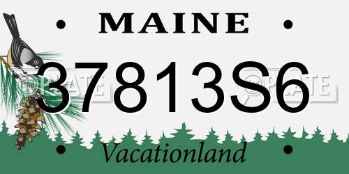 37813S6 Maine License Plate