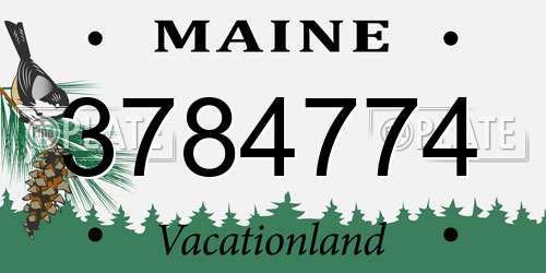 3784774 Maine License Plate