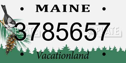 3785657 Maine License Plate