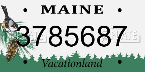 3785687 Maine License Plate