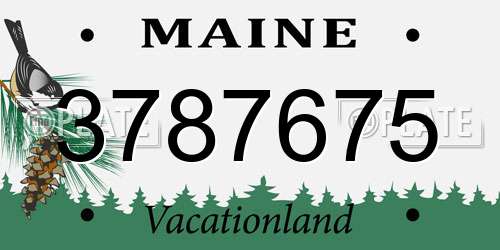 3787675 Maine License Plate