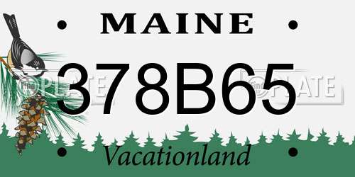 378B65 Maine License Plate