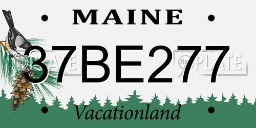 37BE277 Maine License Plate