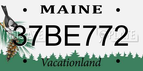 37BE772 Maine License Plate