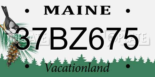 37BZ675 Maine License Plate