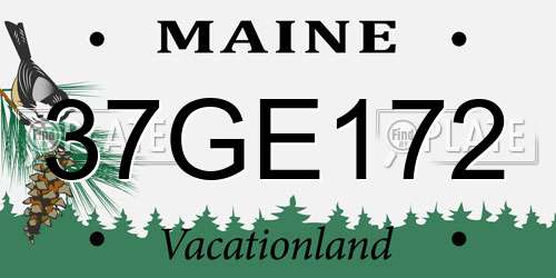 37GE172 Maine License Plate