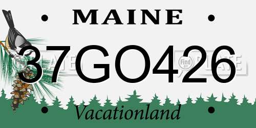 37GO426 Maine License Plate