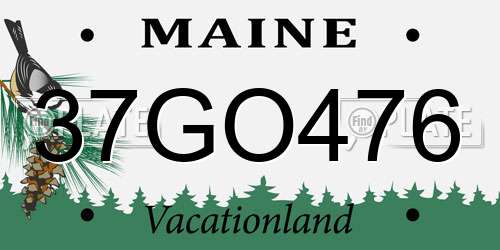 37GO476 Maine License Plate
