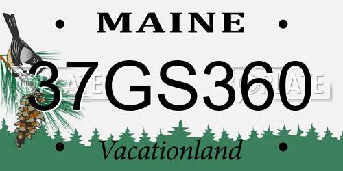 37GS360 Maine License Plate