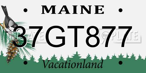 37GT877 Maine License Plate
