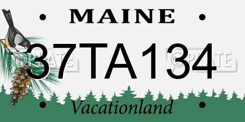 37TA134 Maine License Plate