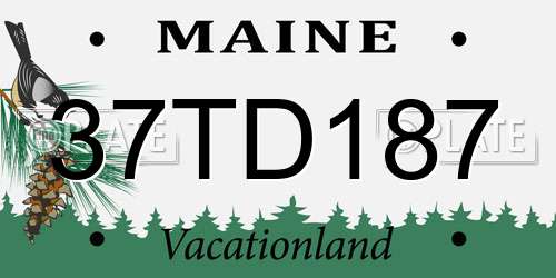37TD187 Maine License Plate