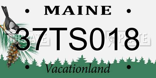 37TS018 Maine License Plate