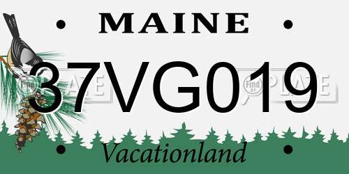 37VG019 Maine License Plate