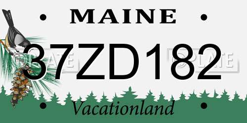 37ZD182 Maine License Plate