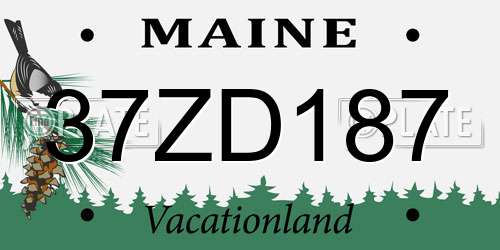 37ZD187 Maine License Plate
