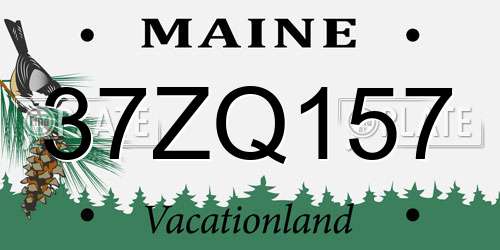 37ZQ157 Maine License Plate