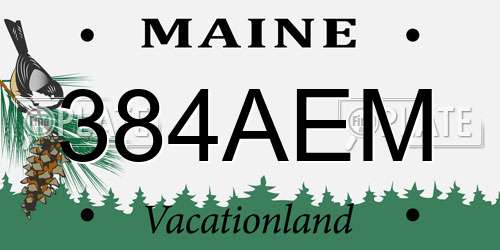 384AEM Maine License Plate