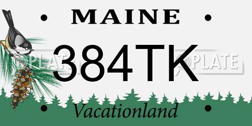 384TK Maine License Plate