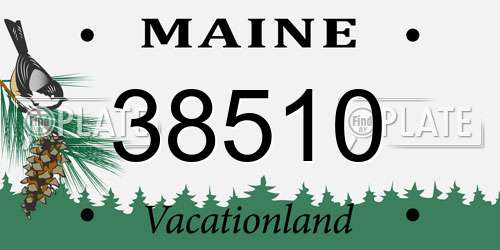 38510 Maine License Plate