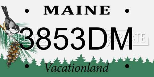 3853DM Maine License Plate