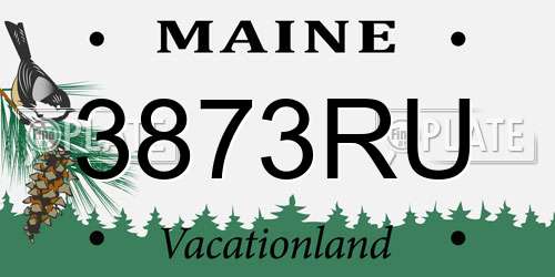 3873RU Maine License Plate