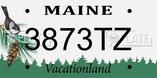 3873TZ Maine License Plate