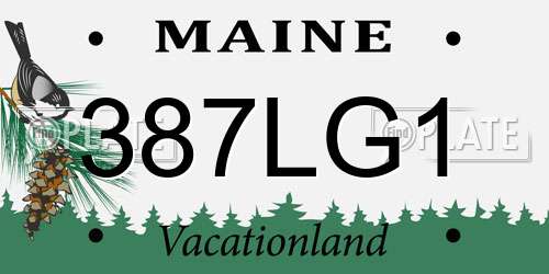 387LG1 Maine License Plate