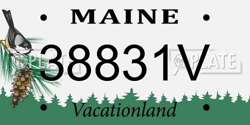 38831V Maine License Plate