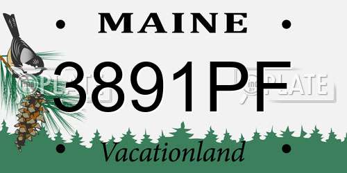 3891PF Maine License Plate