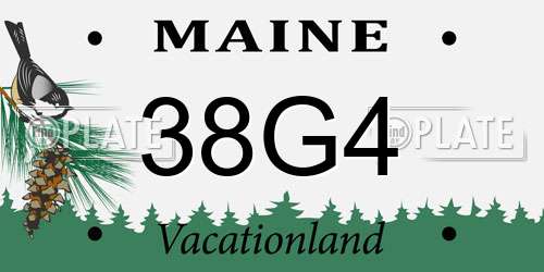 38G4 Maine License Plate