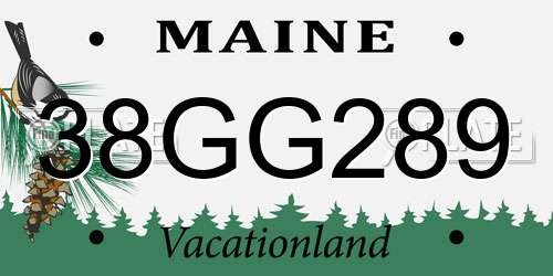 38GG289 Maine License Plate