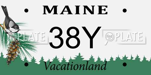 38Y Maine License Plate