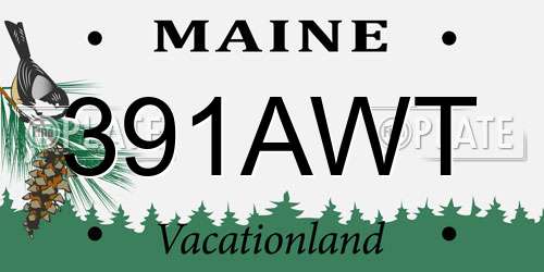 391AWT Maine License Plate