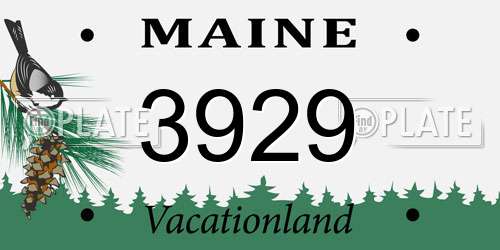 3929 Maine License Plate