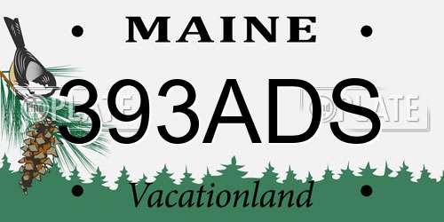 393ADS Maine License Plate