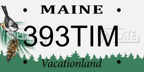 393TIM Maine License Plate