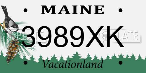 3989XK Maine License Plate