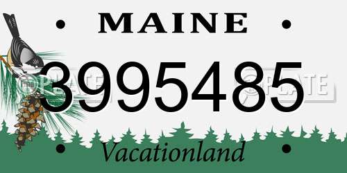 3995485 Maine License Plate